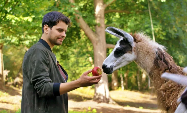 Schlechte Helden oder ein Lama namens Beethoven