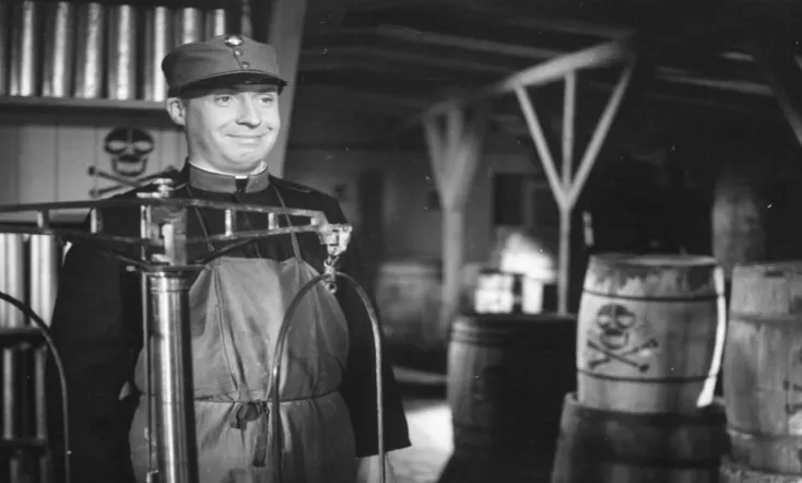 Schwejks Flegeljahre