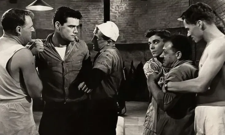 Seagulls Over Sorrento