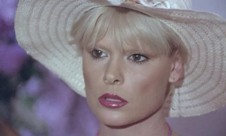 Secrets of a French Maid