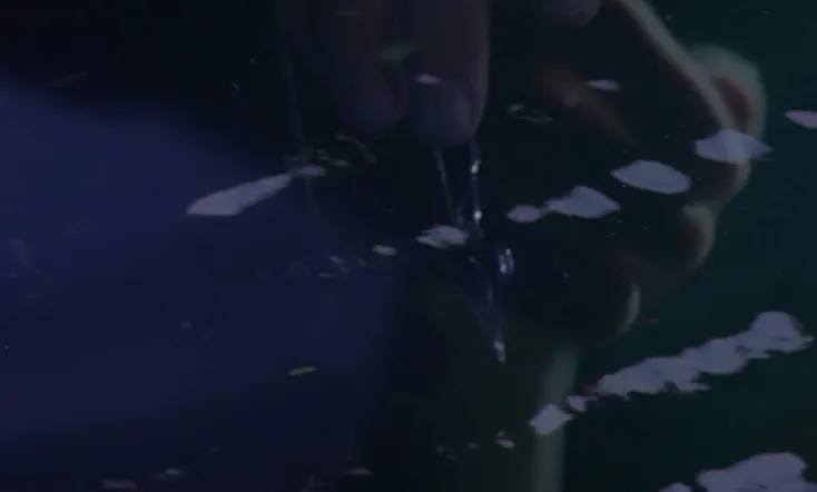 Seeing Through the Mists of Oblivion