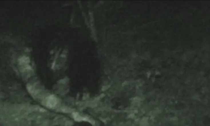 Senritsu Kaiki File Kowasugi! File 03: Legend of a Human-Eating Kappa