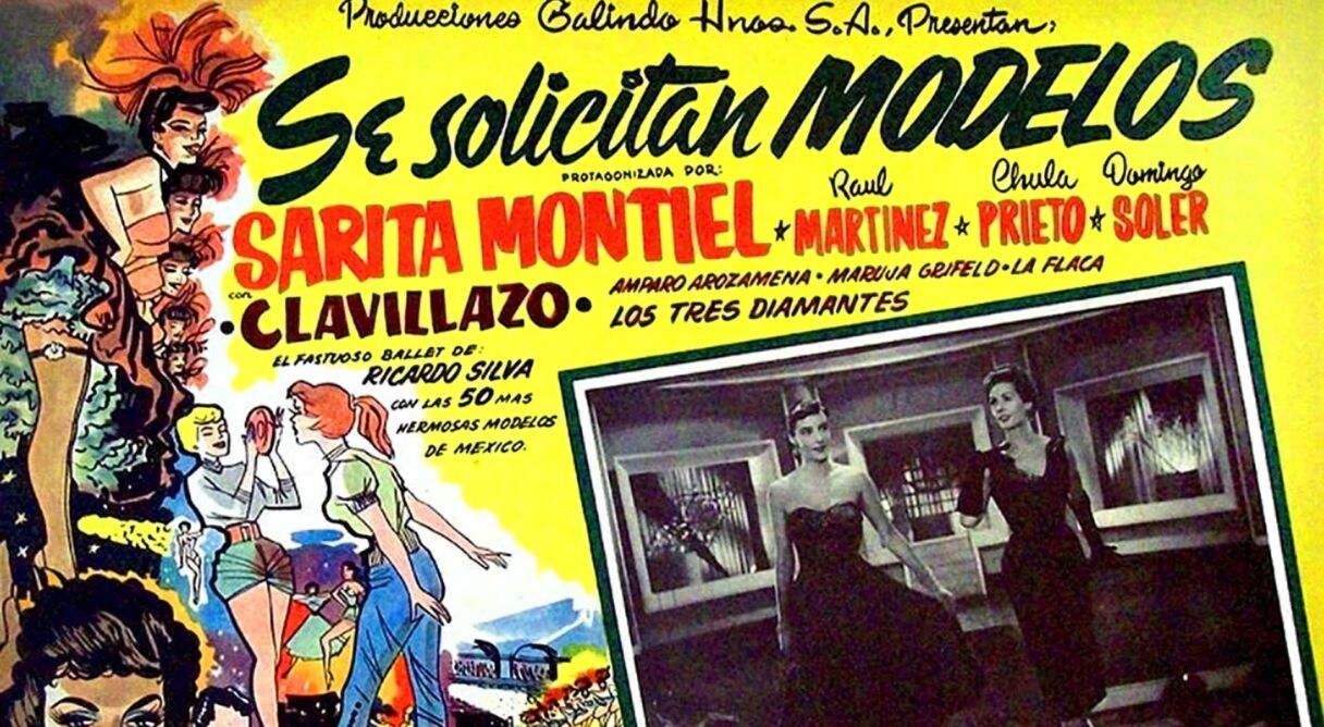 Se solicitan modelos