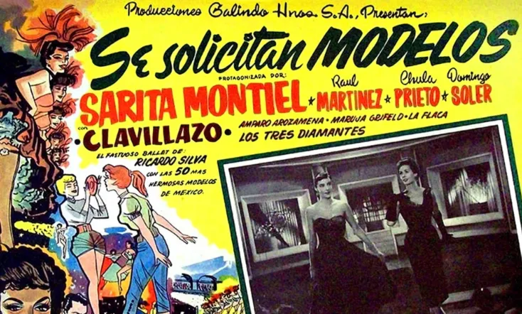 Se solicitan modelos