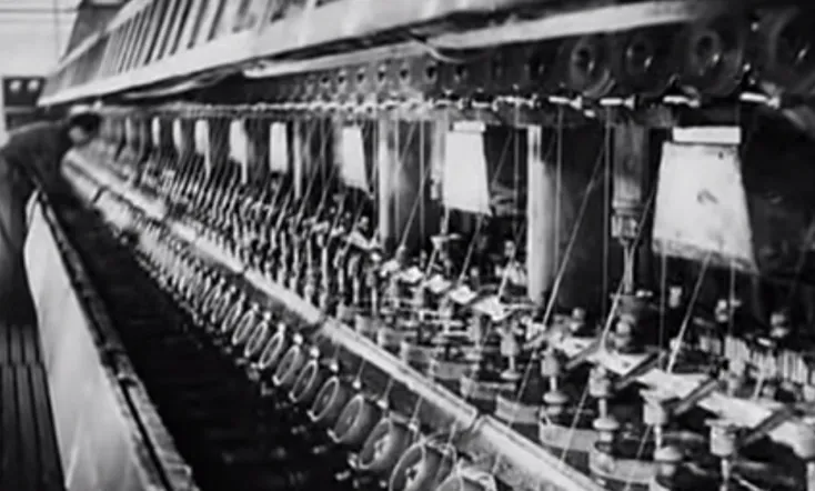 Seven Reeds, One Suit