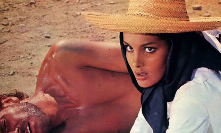 Seven Guns for the MacGregors