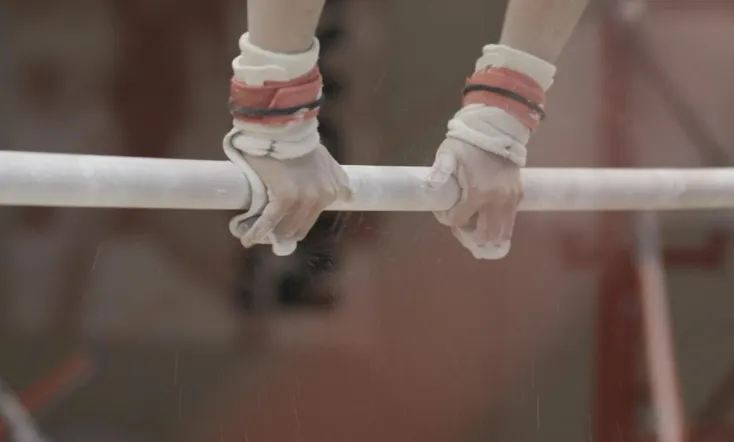 Sexual Violence in Sport