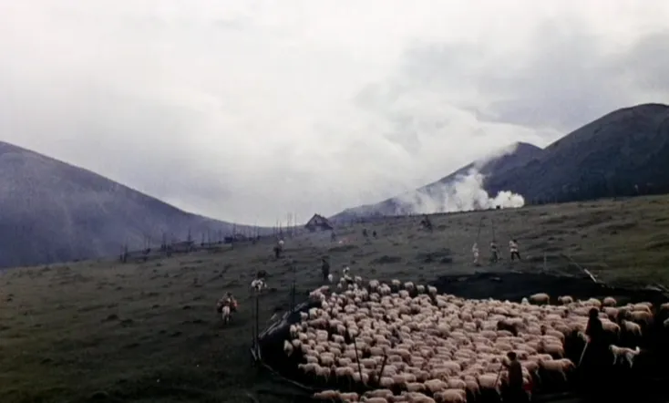 Shadows of Forgotten Ancestors