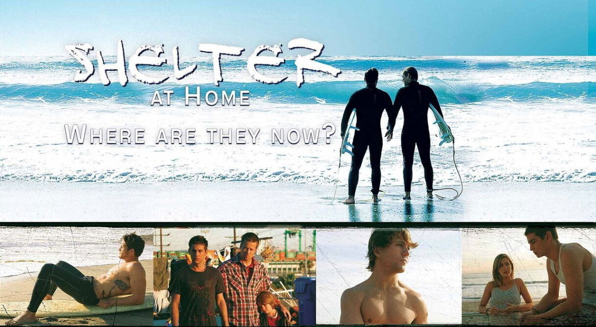 Shelter at Home: Where Are They Now?