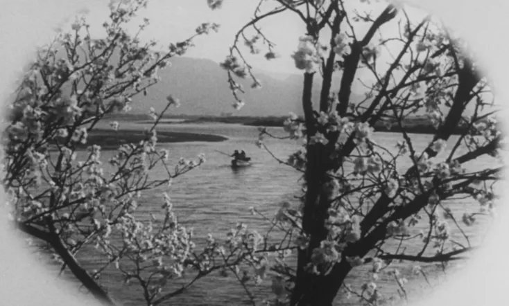 She Was Like a Wild Chrysanthemum