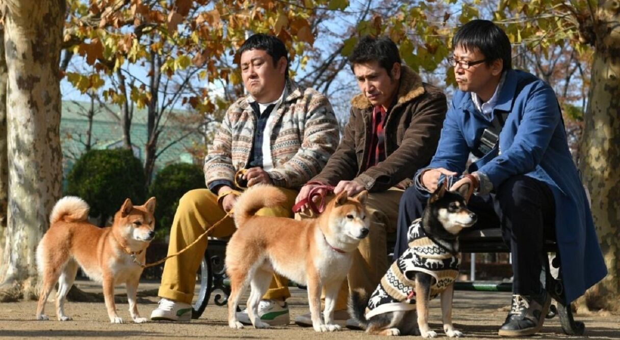 Shiba Park