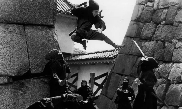 Shinobi No Mono 6: The Last Iga Spy