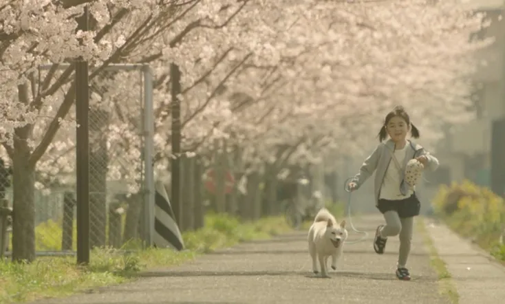 Show Me the Way to the Station