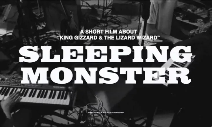 Sleeping Monster