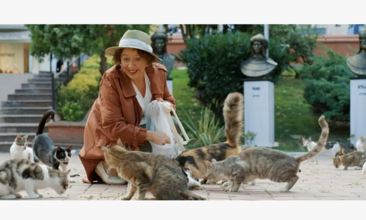 Some Cats of the Neighborhood