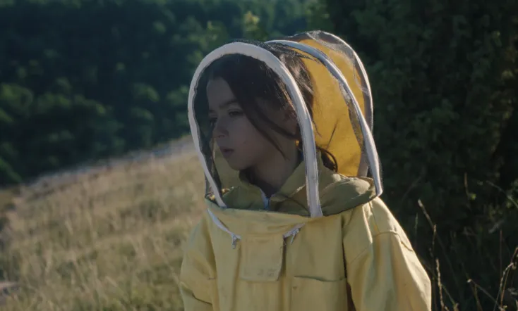 20,000 Species of Bees