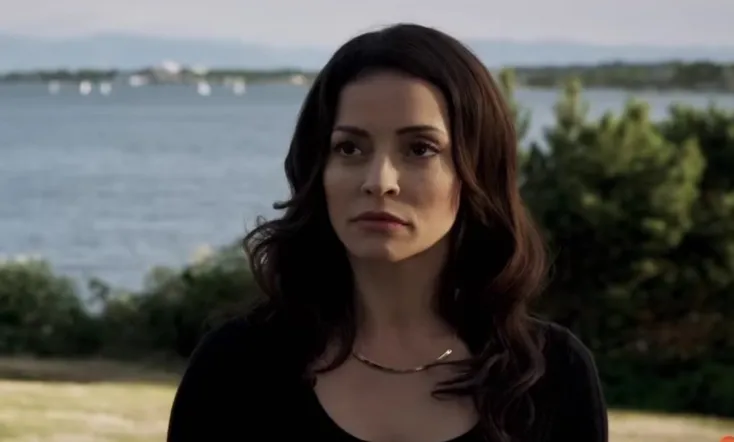 Stranger in the House