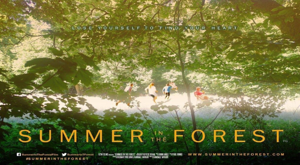 Summer in the Forest