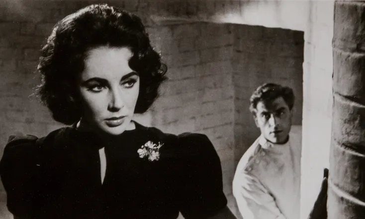 Suddenly, Last Summer