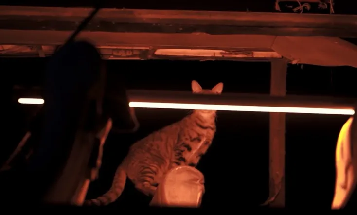 Summer, City and a Camera