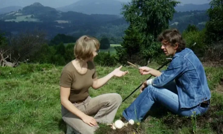 Summer with a Cowboy