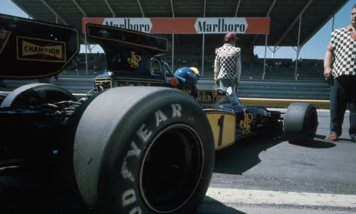 Superswede: A film about Ronnie Peterson