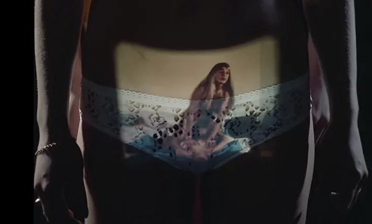 Swêden poruno: Yokujô shotaiken