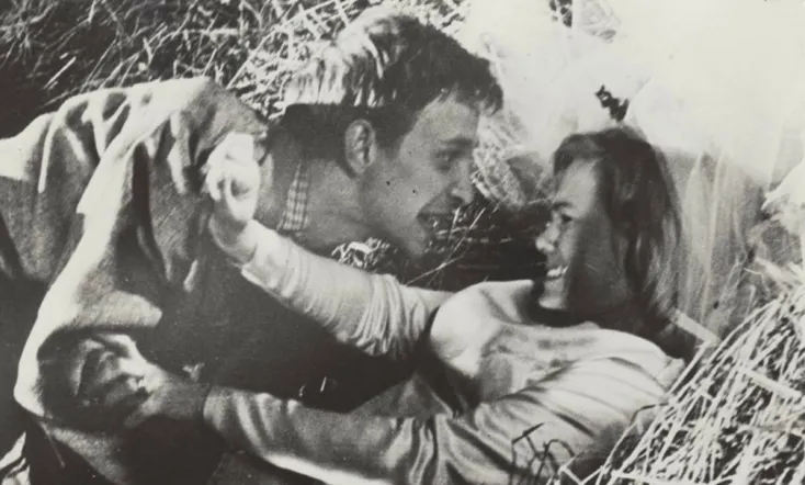 Swedish Wedding Night