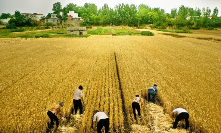 Swimming Out Till the Sea Turns Blue