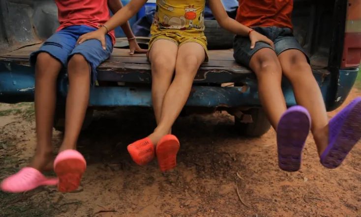 Talking to the Trees