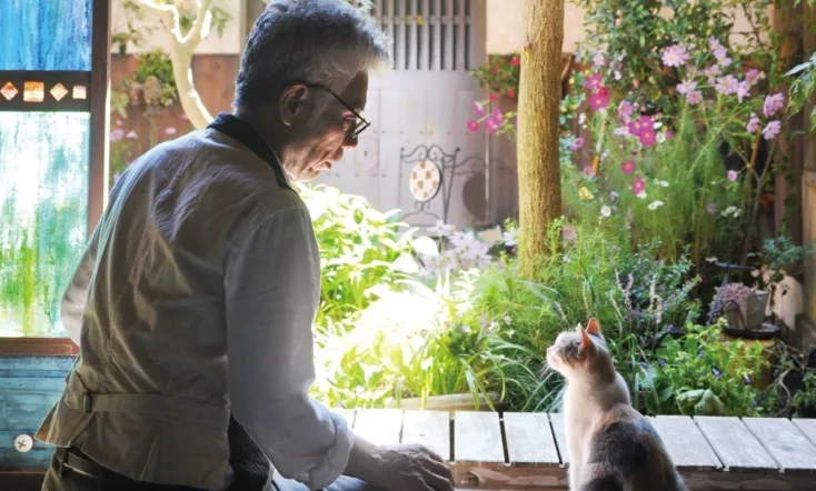 Teacher and Stray Cat