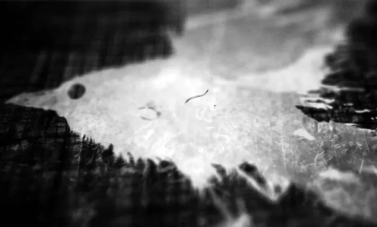 Ted Hughes: Stronger Than Death