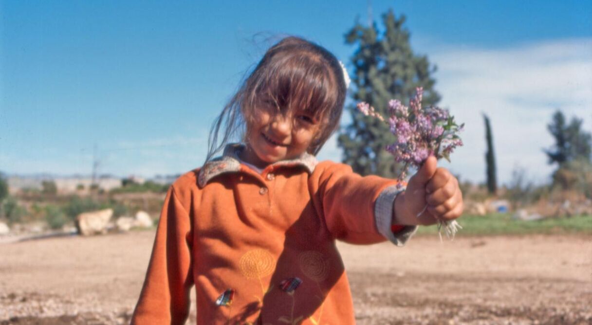 The Colour of Olives