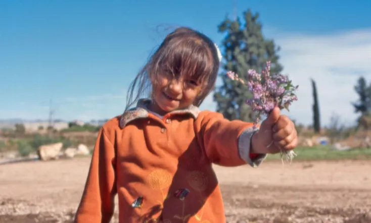 The Colour of Olives