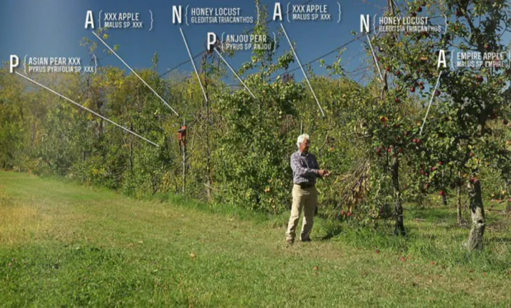 The Permaculture Orchard: Beyond Organic