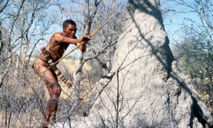 The Gods Must Be Crazy