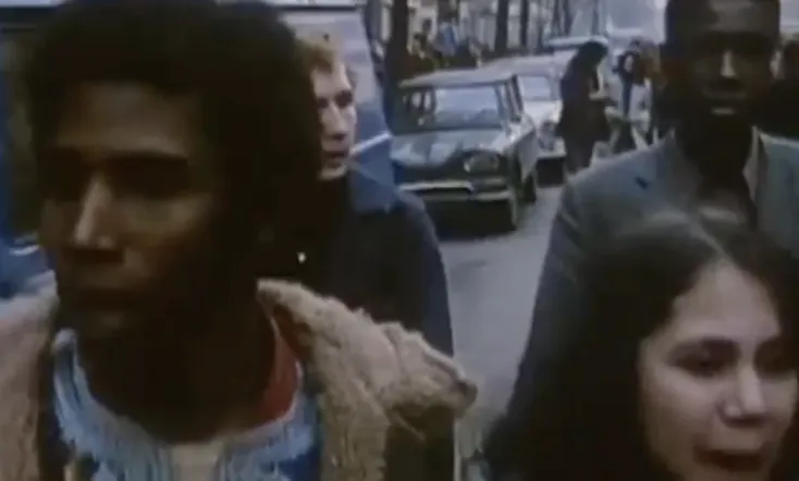 The Black Wogs, Your Neighbors