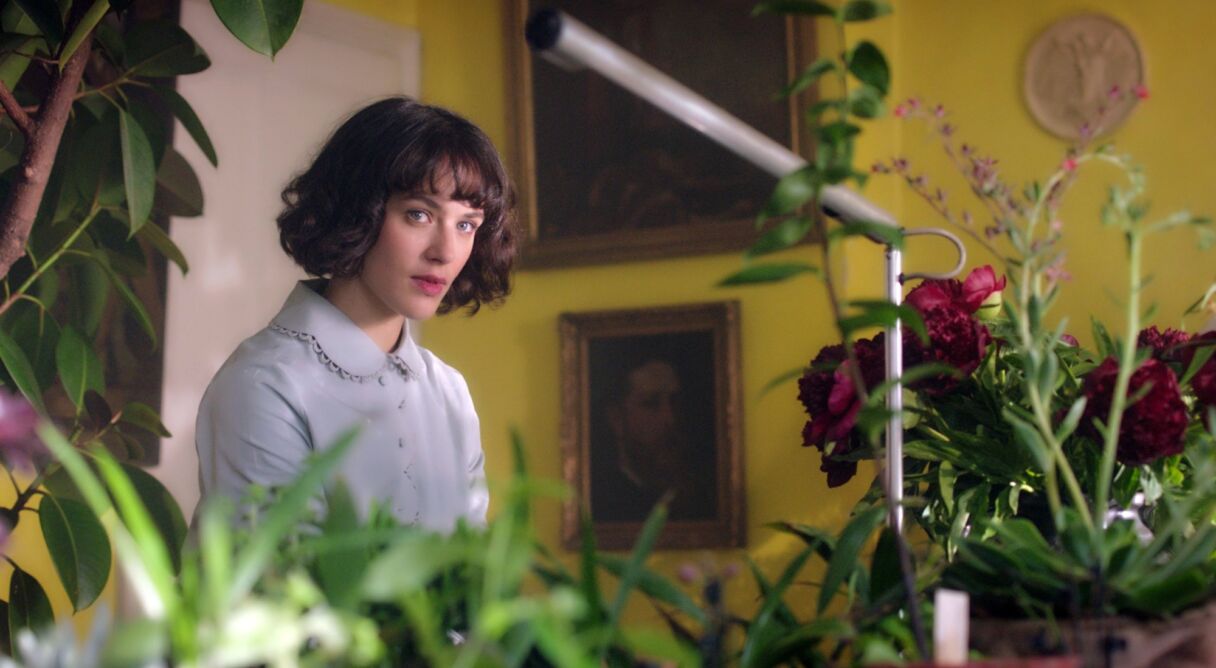This Beautiful Fantastic