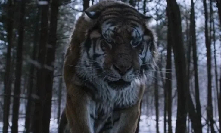 The Tiger