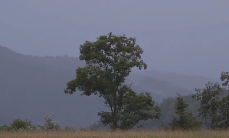 The Prison in Twelve Landscapes