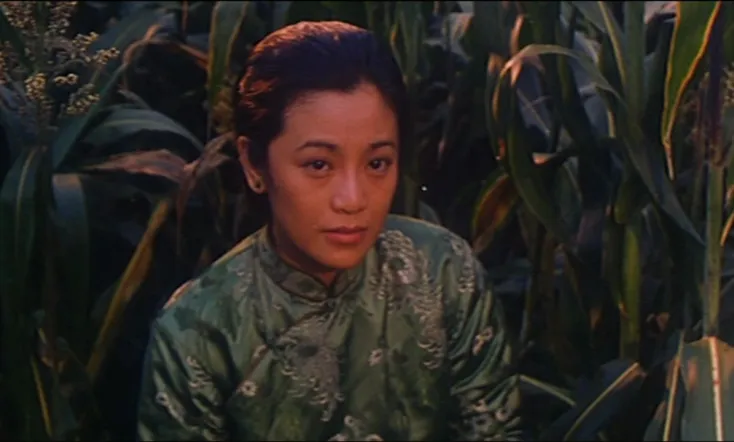 The Story in Sorghum Field