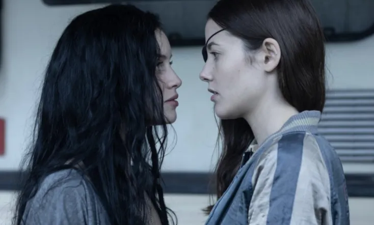 The Girl in the Mirror