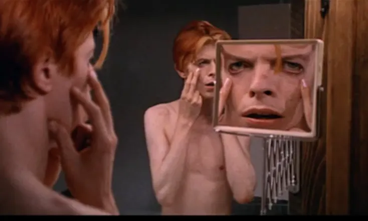 The Man Who Fell to Earth