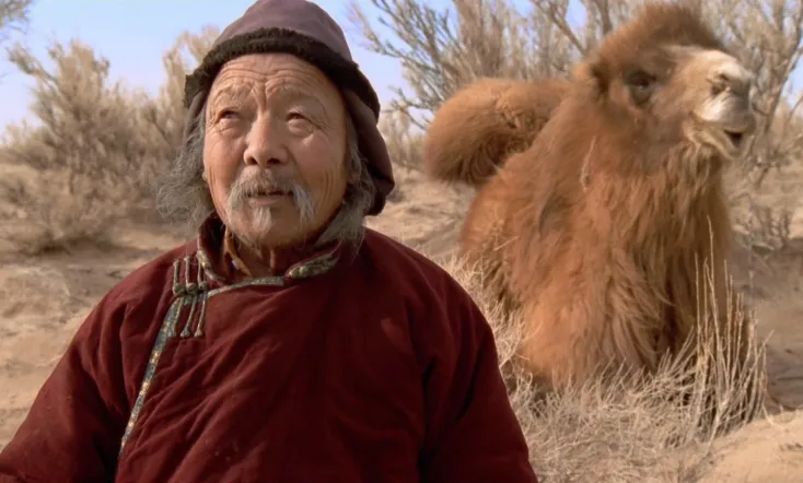 The Story of the Weeping Camel