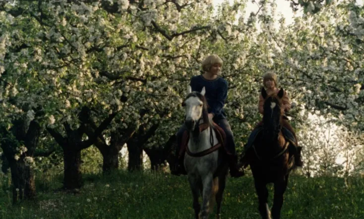 The Brothers Lionheart