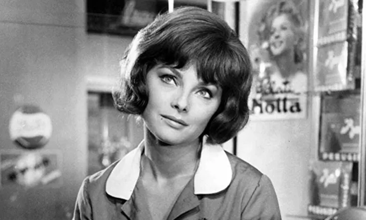 The Birds, the Bees and the Italians