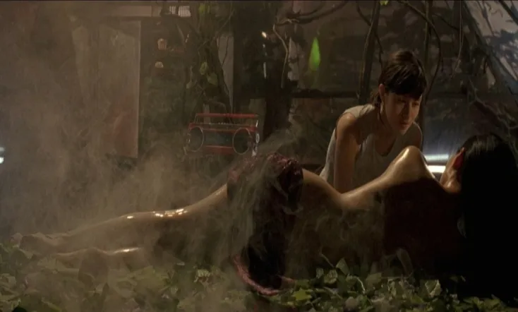 The Chinese Botanist's Daughters