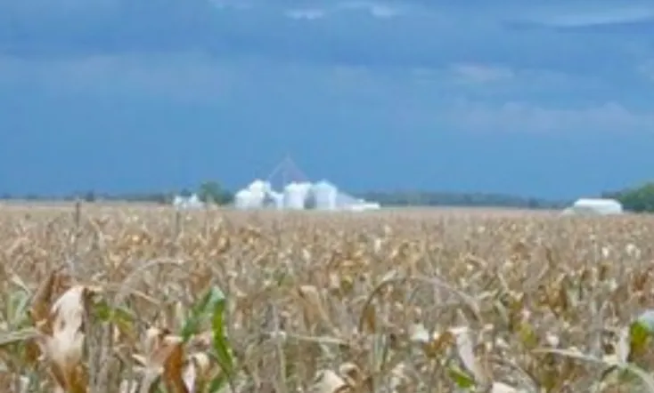 The World According to Monsanto