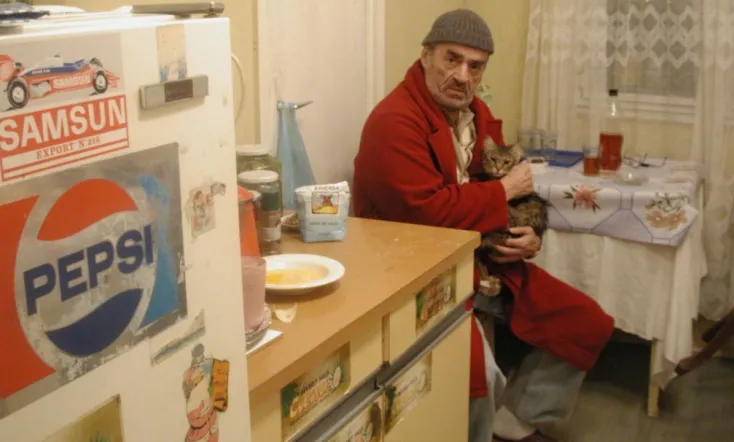 The Death of Mr. Lazarescu