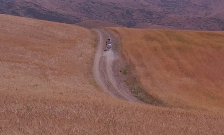 The Wind Will Carry Us